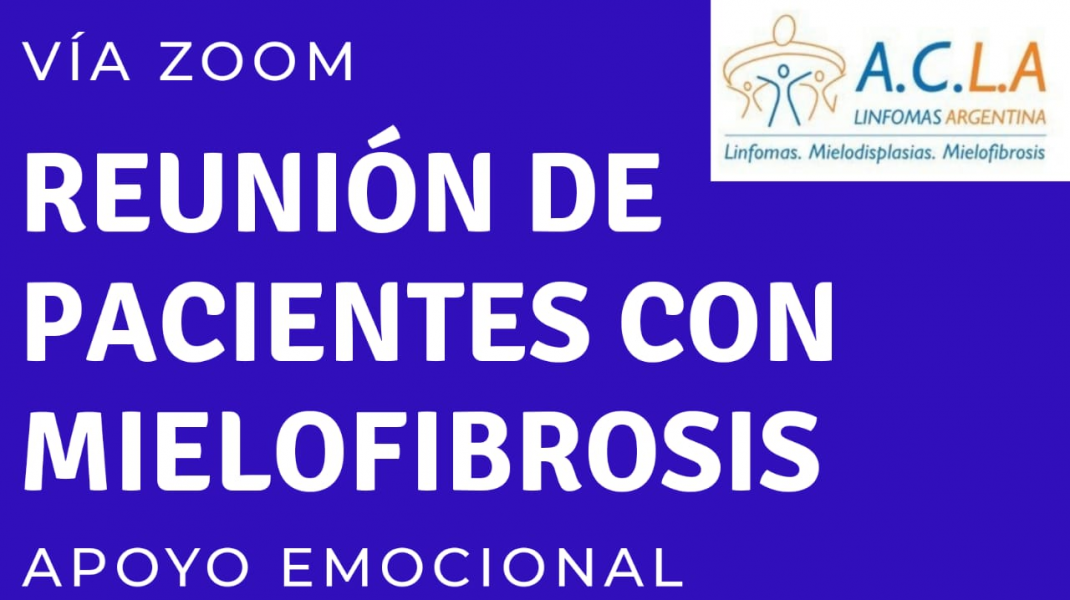 REUNION PARA PACIENTES CON MIELOFIBROSIS